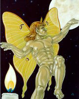 Luna Moth Fairy Image