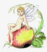 Fairy Fruit
